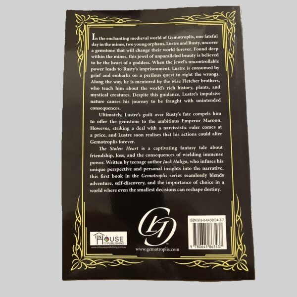 The Stolen Heart - Paperback illustrated (new release) - Image 2